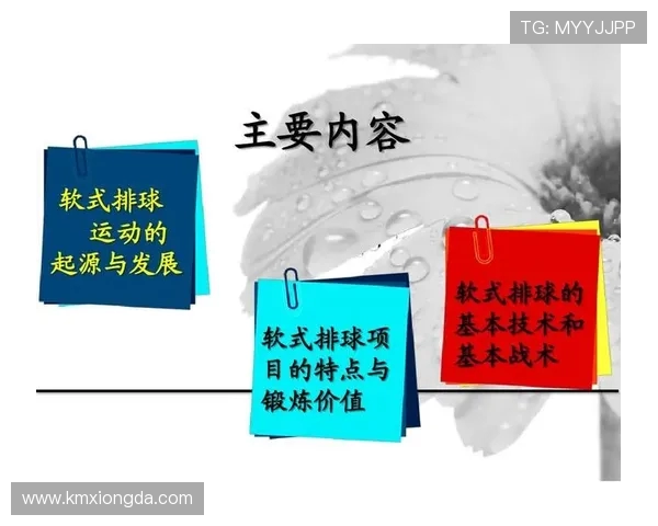 杭州排球队的战术解析与控制体系研究探讨