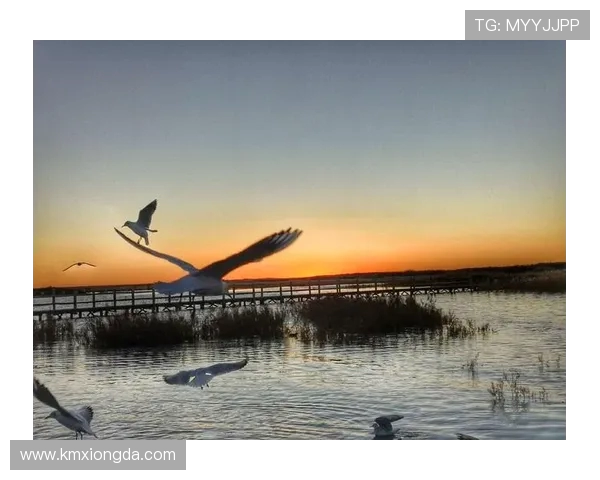 滑板人生的深度对话：杨磊与梦想的追逐与坚持