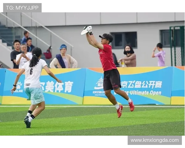 飞盘飞扬：见证杭州飞盘队拼搏与成长的真实故事