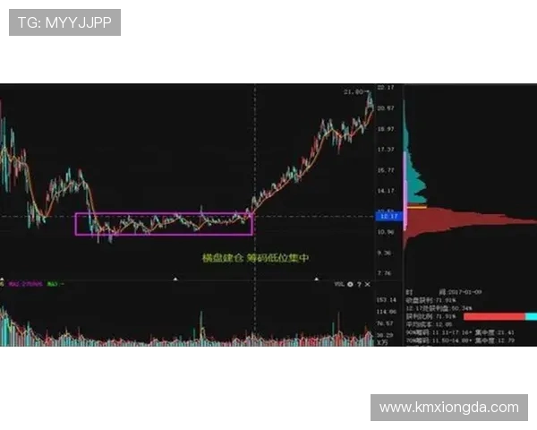 广州极限运动队包夹现象解析与热点趋势探讨